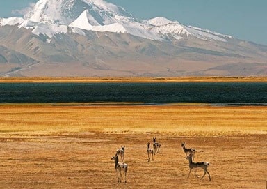 17 Days Northern Mt Kailash(Ngari) Tour