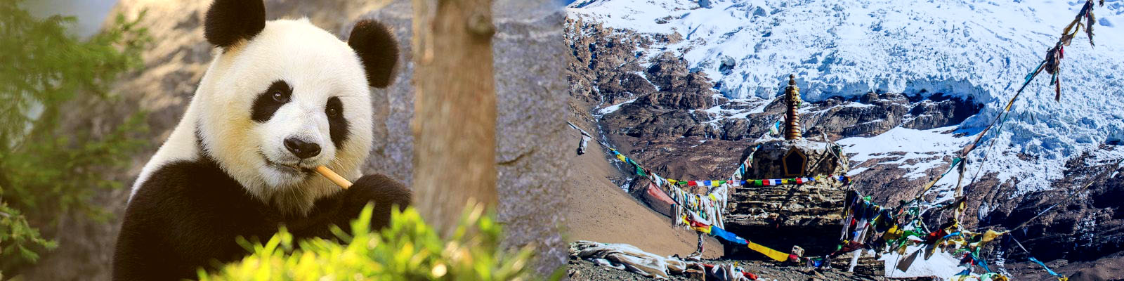 10 Days Chengdu Tibet Everest Overland Tour